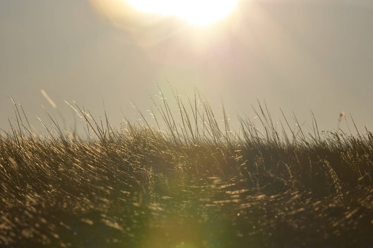 , Байбородин Михаил