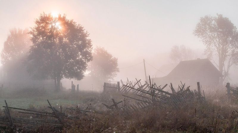 Забористое фото превью