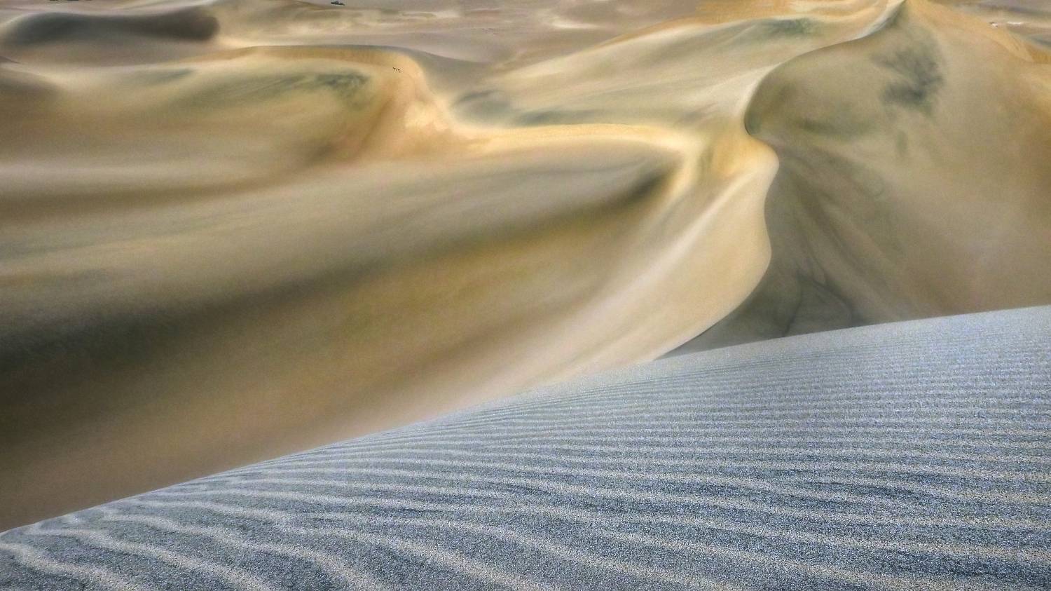 , Шварцман Евгений