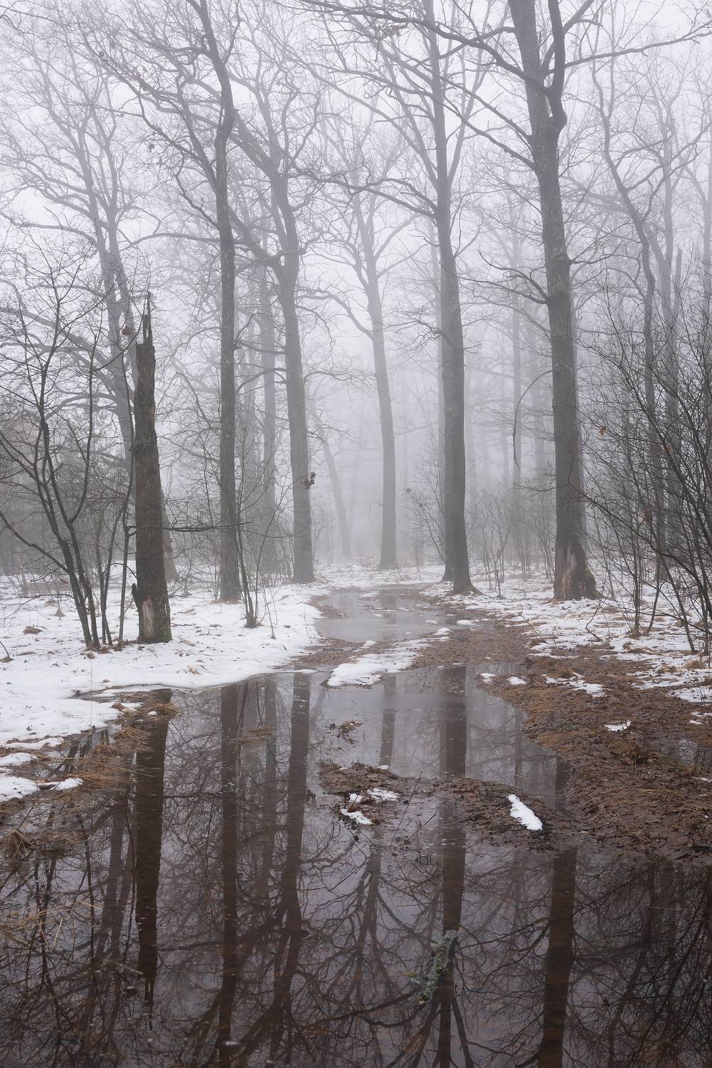 , Захаров Дмитрий