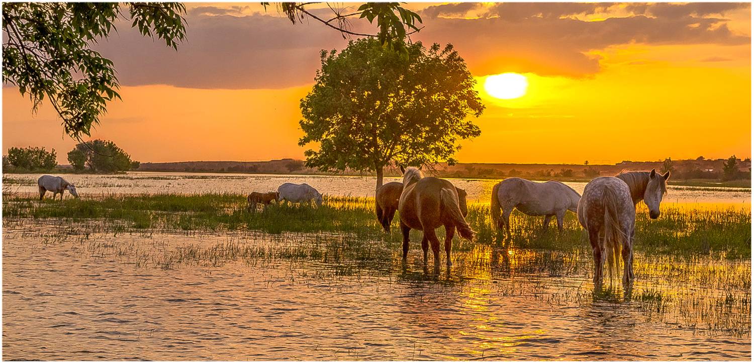у села  камышово, Сергей цыбизов