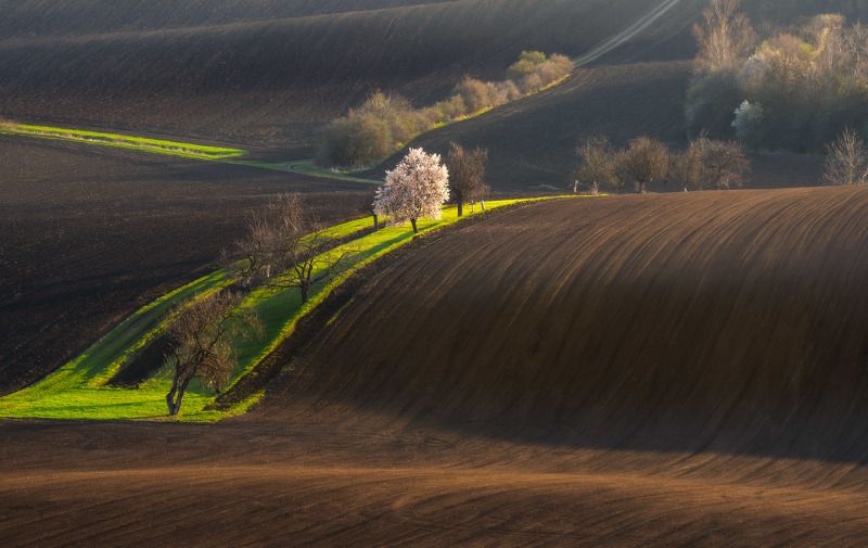 spring, moravia, kyjov, moravia tuscany, czech, bohemia, sony, sony a7iv  фото превью