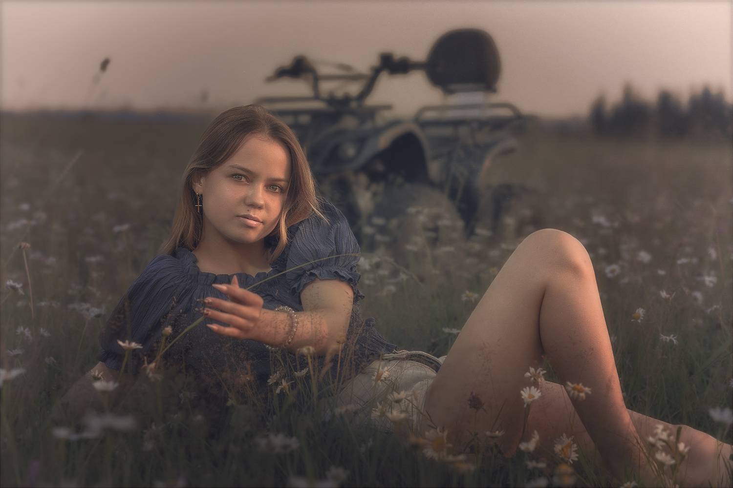 evening meadow  sundown  serenity, Холудеев Виктор