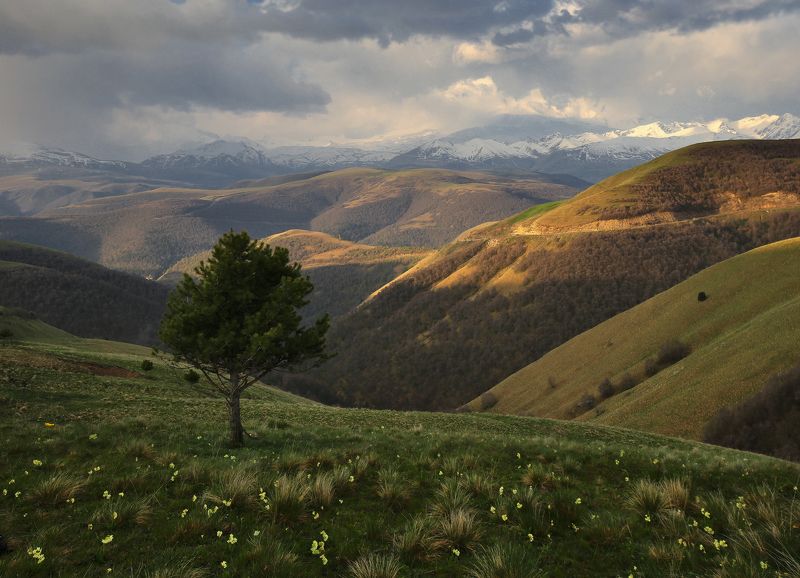 Кавказ, Кабардино-Балкария, Приэльбрусье Приэльбрусье фото превью