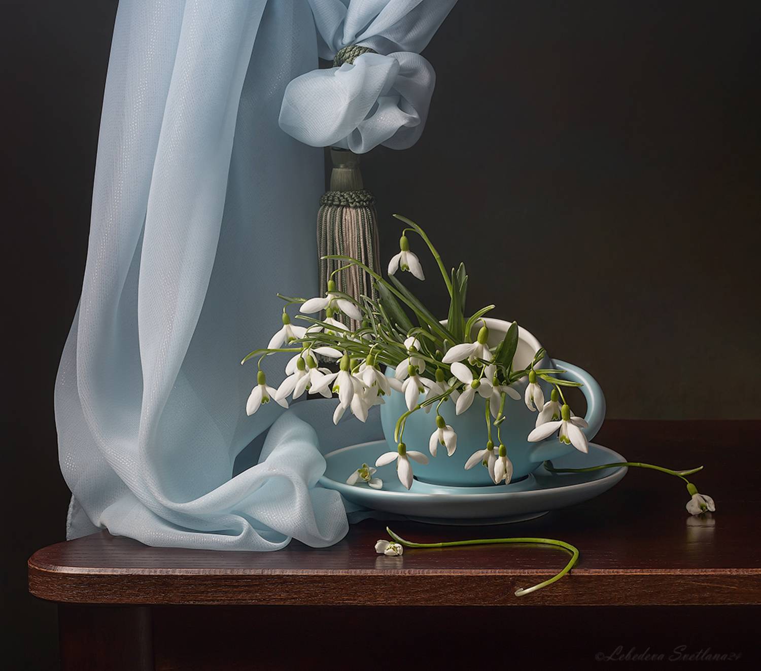 подснежники,натюрморт,весна, Светлана Л.