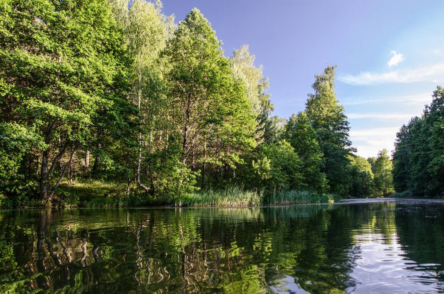 вечер озеро, Александр Березуцкий
