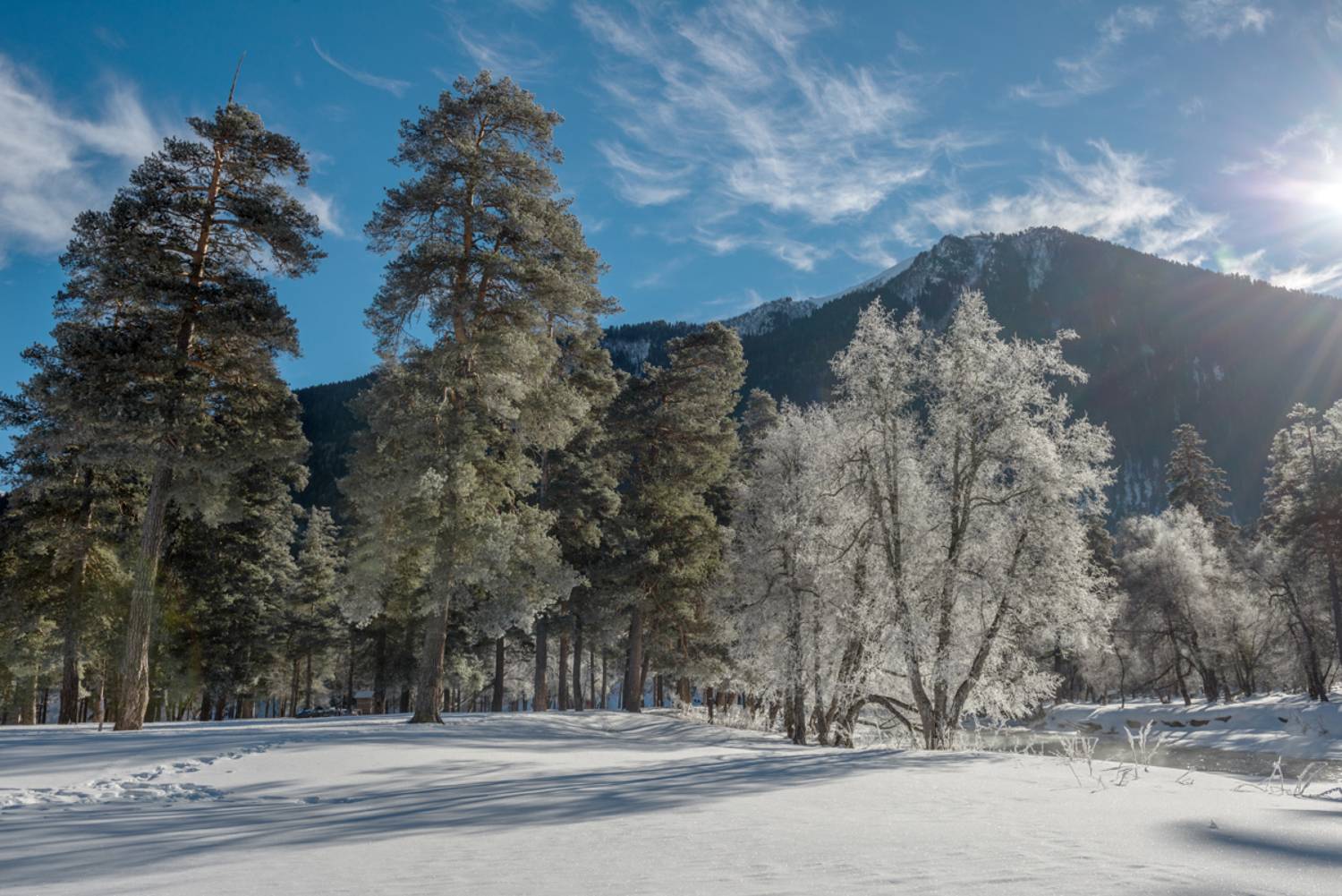 горы лес, Anatoly