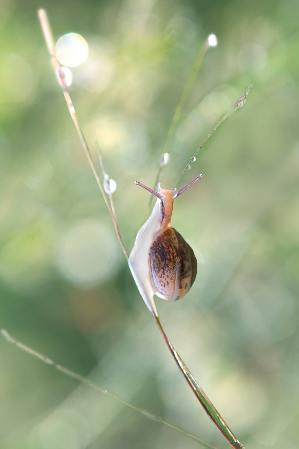 , Людмила Бекман