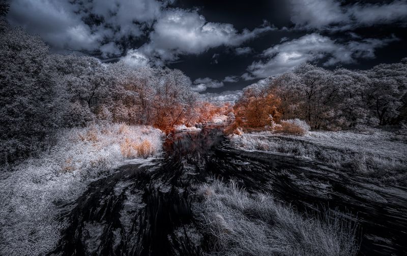 С облаками над седым летом фото превью