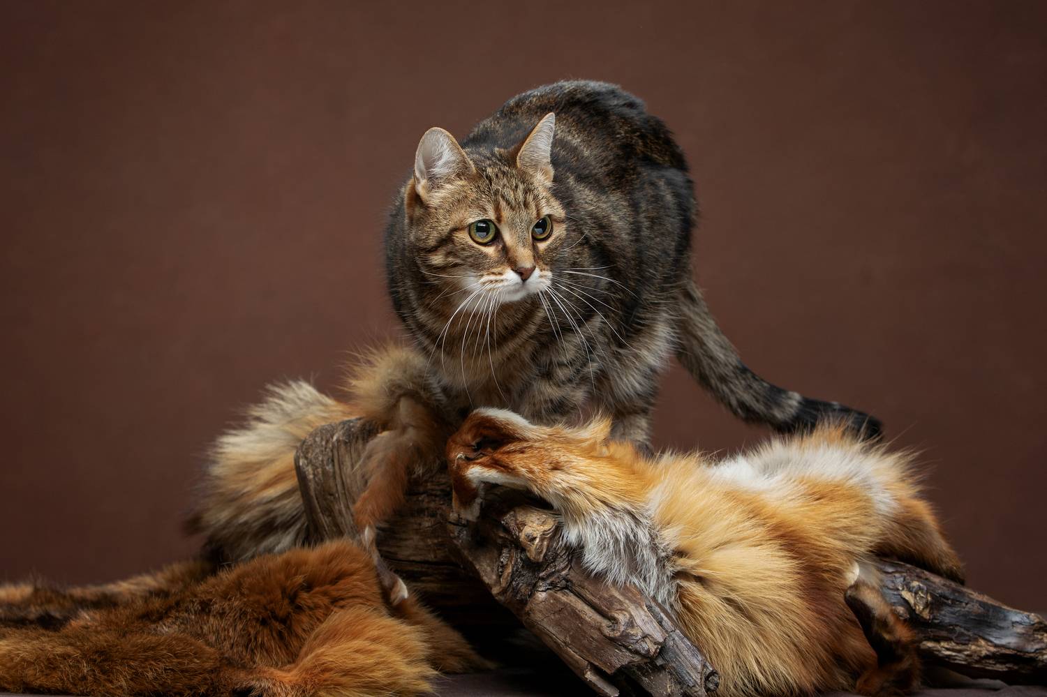 , Зубкова Юлия