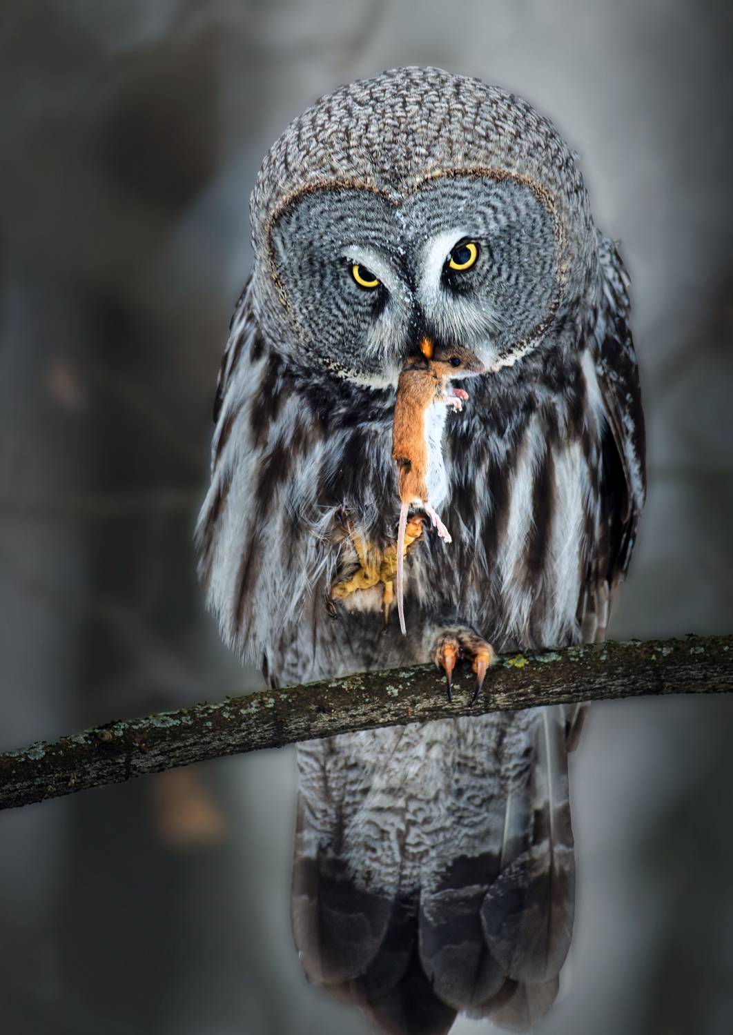 , Фото Александр