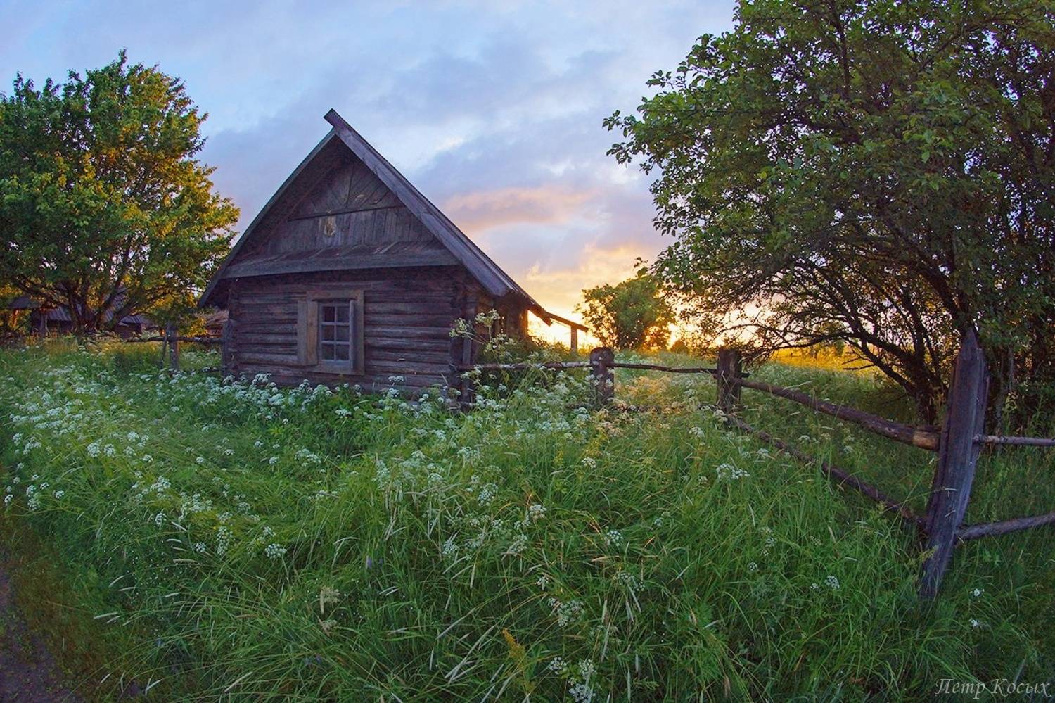 , Петр Косых