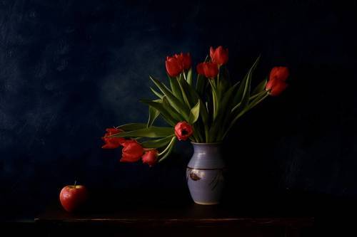 Тюльпаны красные