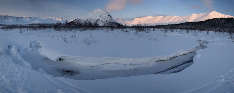 Улыбка зимней тундры фото превью