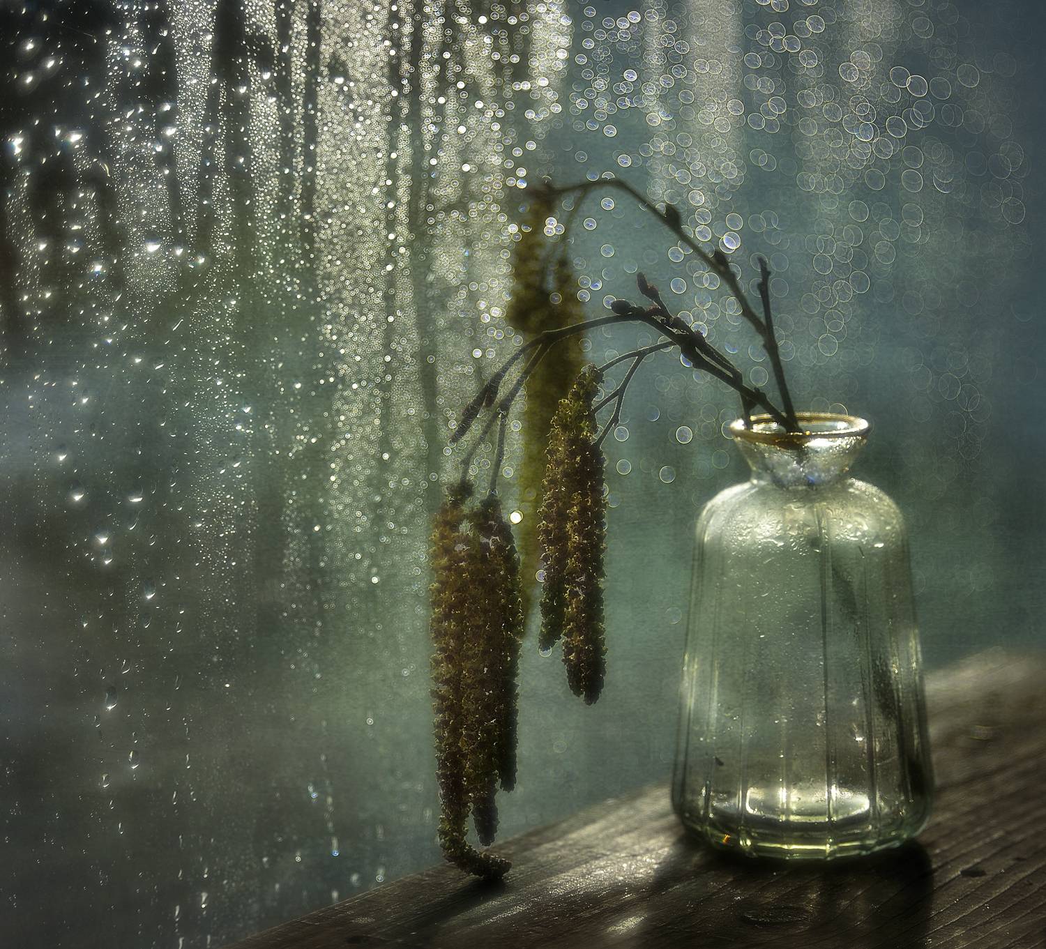 натюрморт,капли,боке,ольха,сережки,весна,март, Наталия К