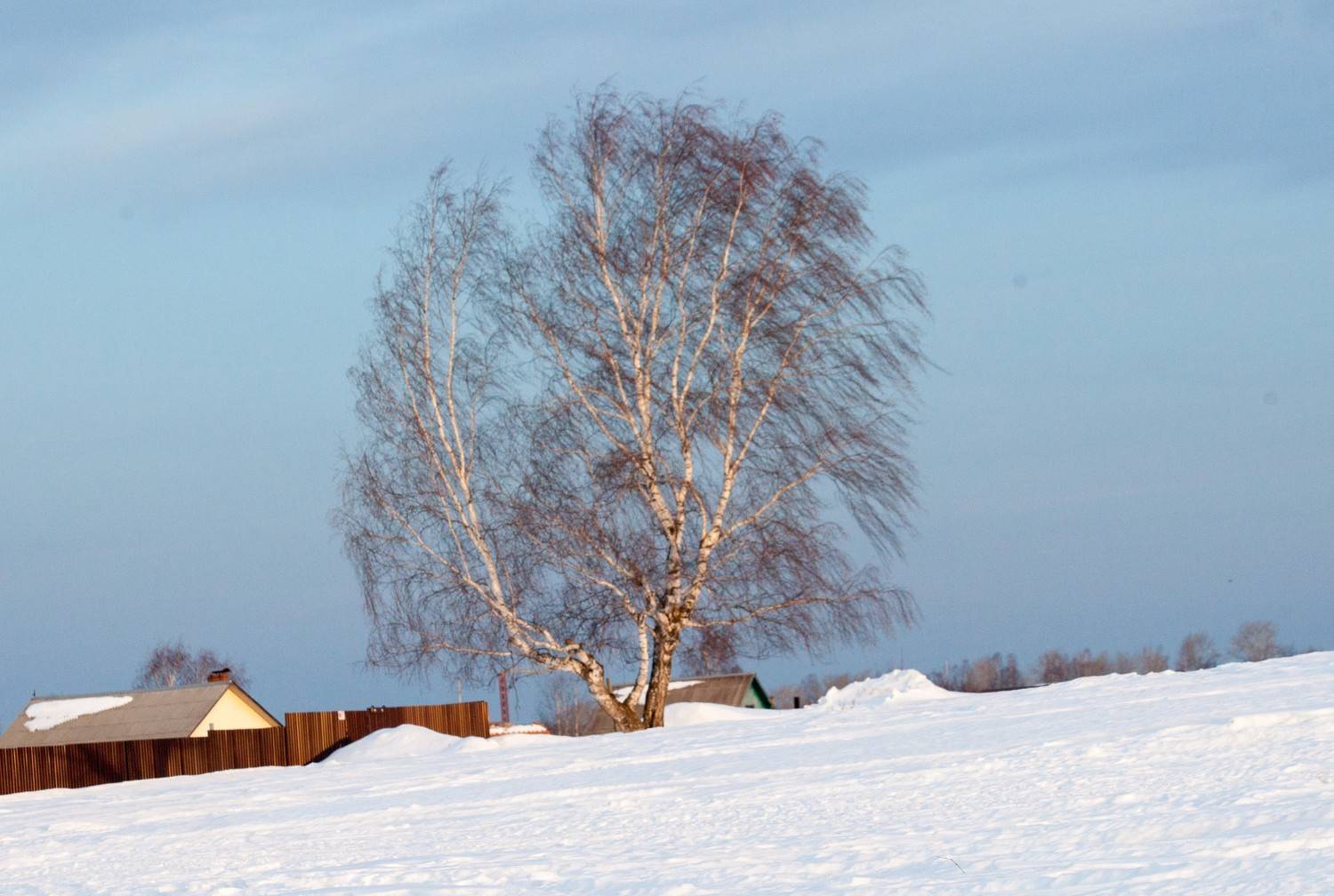 , Спасов Михаил