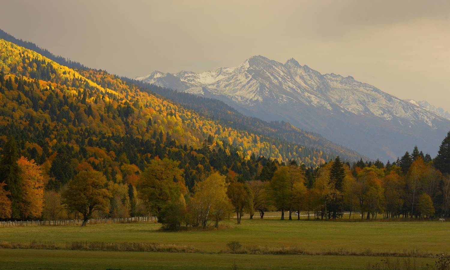 горы осень кавказ, Александр Жарников