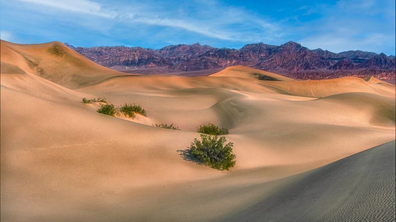 Вид фото превью