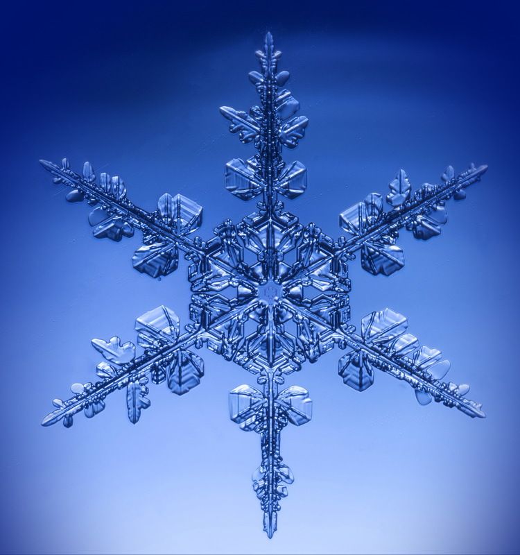 Зимняя драгоценность фото превью