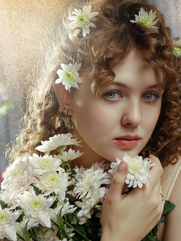 Chrysanthemum фото превью