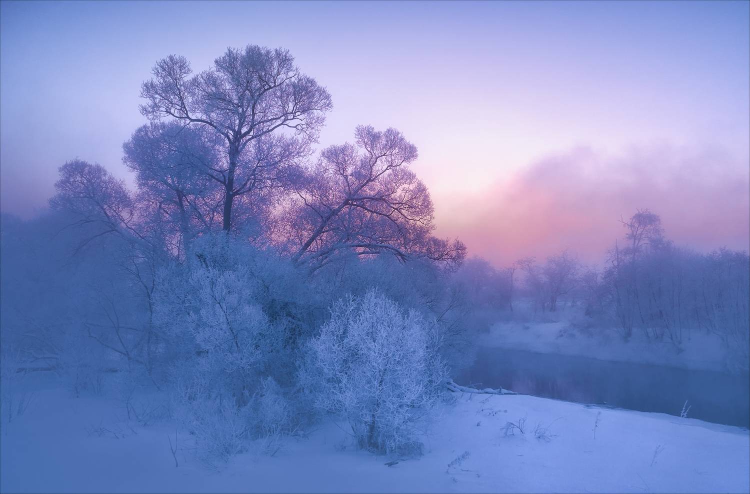 , Богорянов Алексей