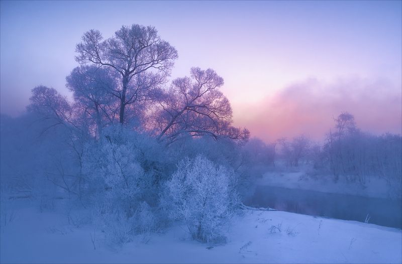 В ожидании света. фото превью