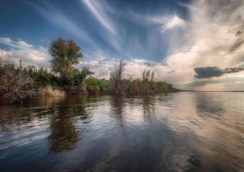 Берег Волги