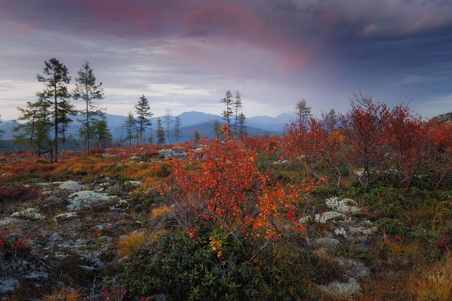 , Морозов Сергей