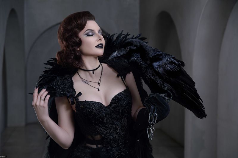 ворон, портрет Dark Snowwhite фото превью