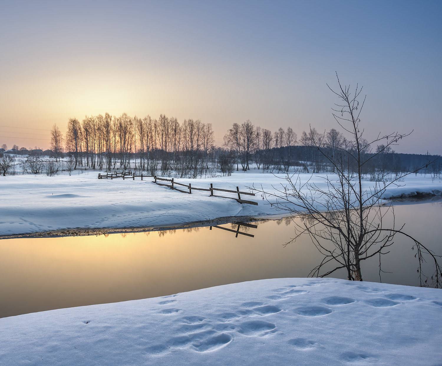 , Андреев Николай