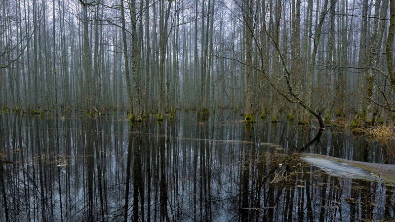 Spring фото превью