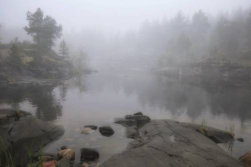 Ладожские туманы