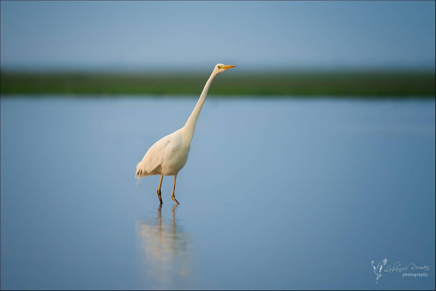 , Лобанов Роман