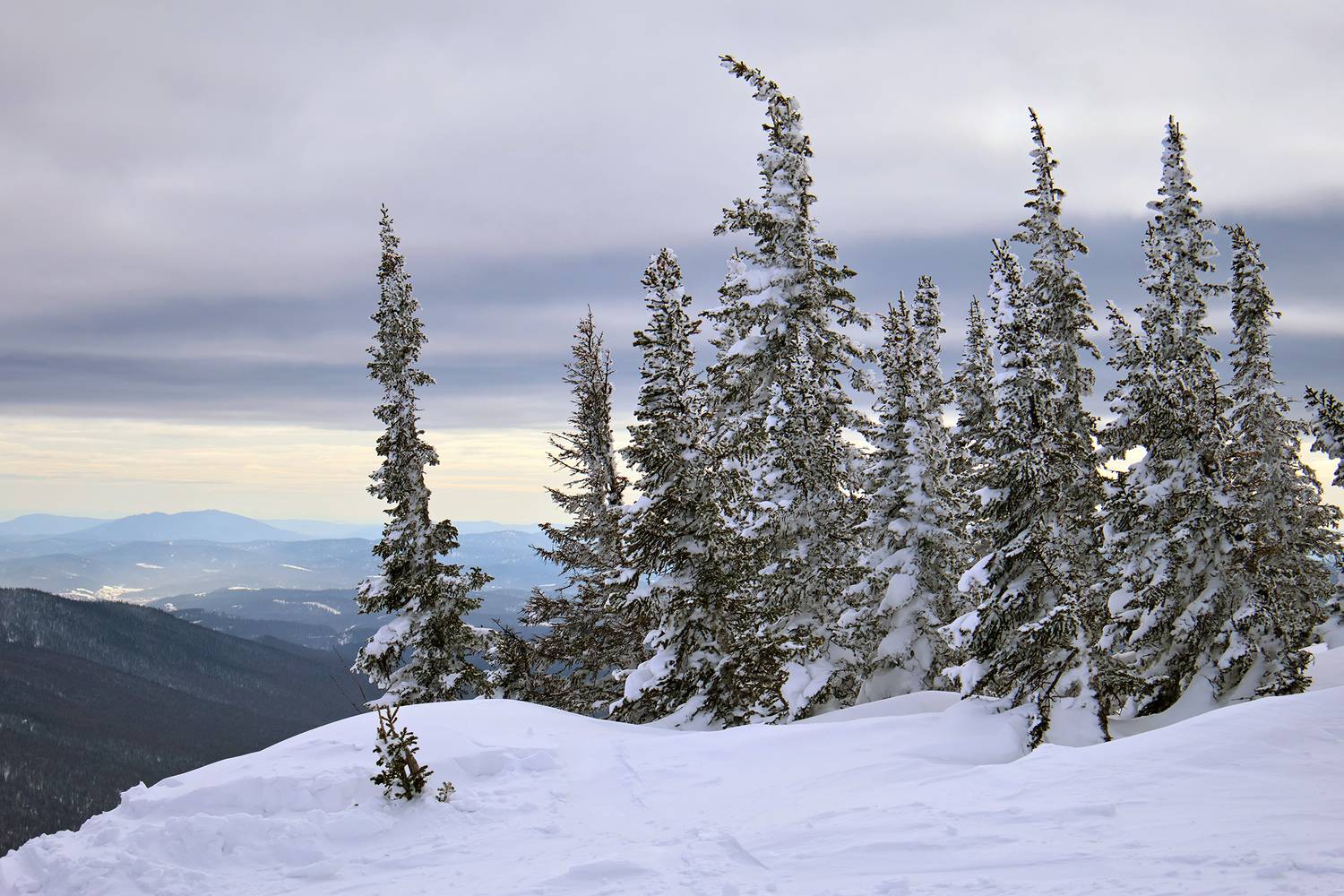 , Волынский Виктор