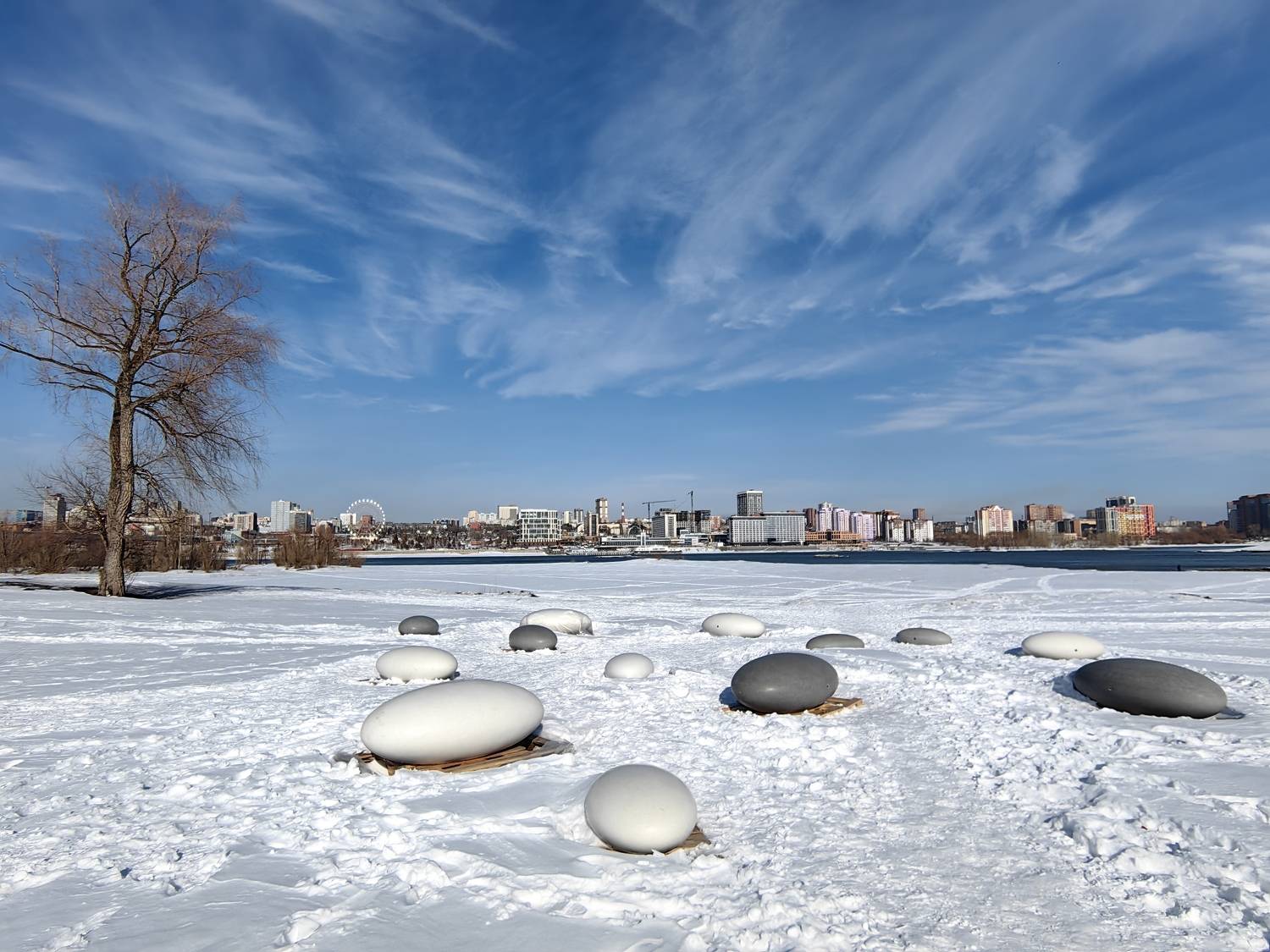 новосибирск,март,небо,дерево, Козлова Галина