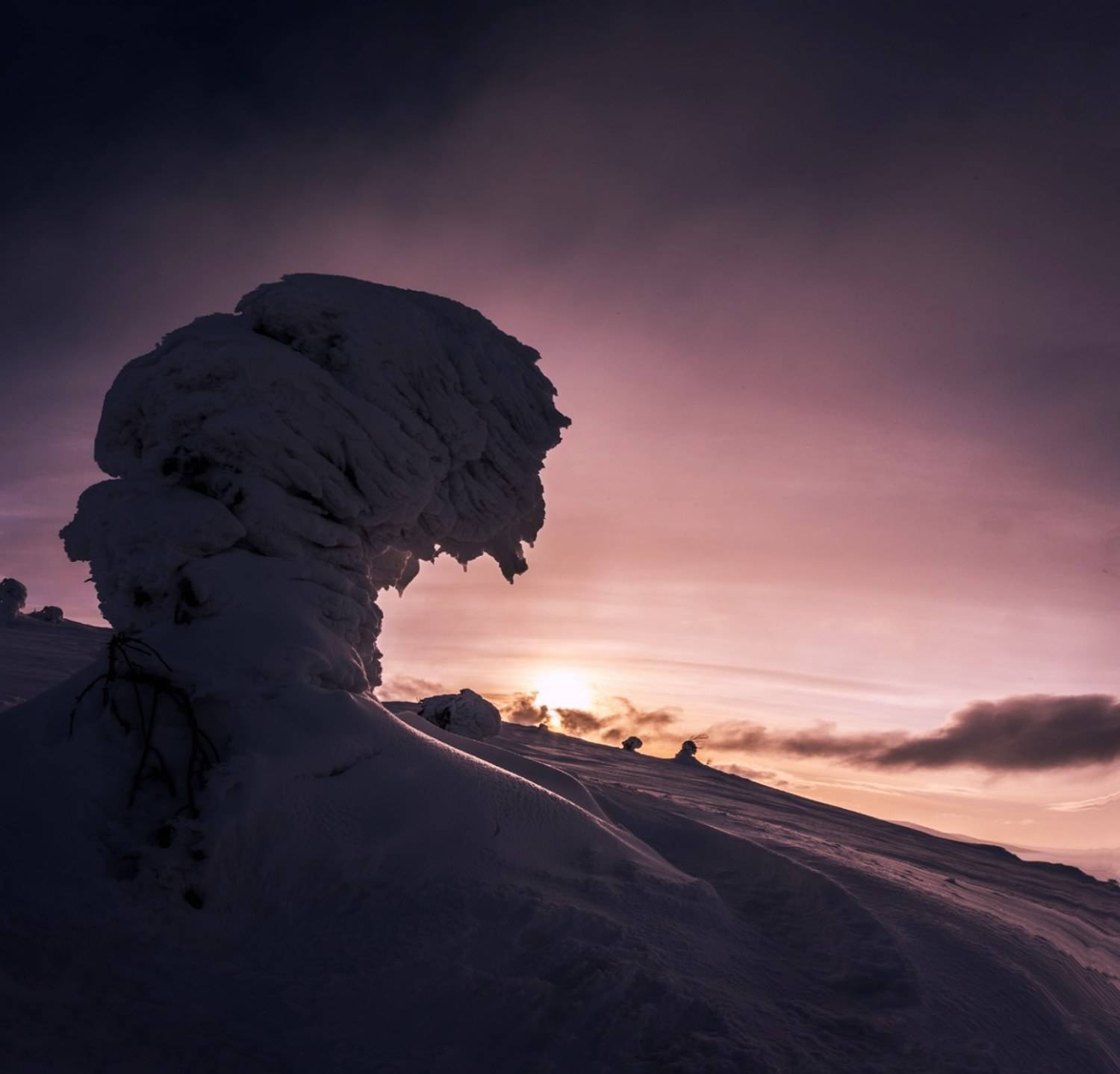 волосяная, кольский, пейзаж, зима, закат, Karasev Pavel