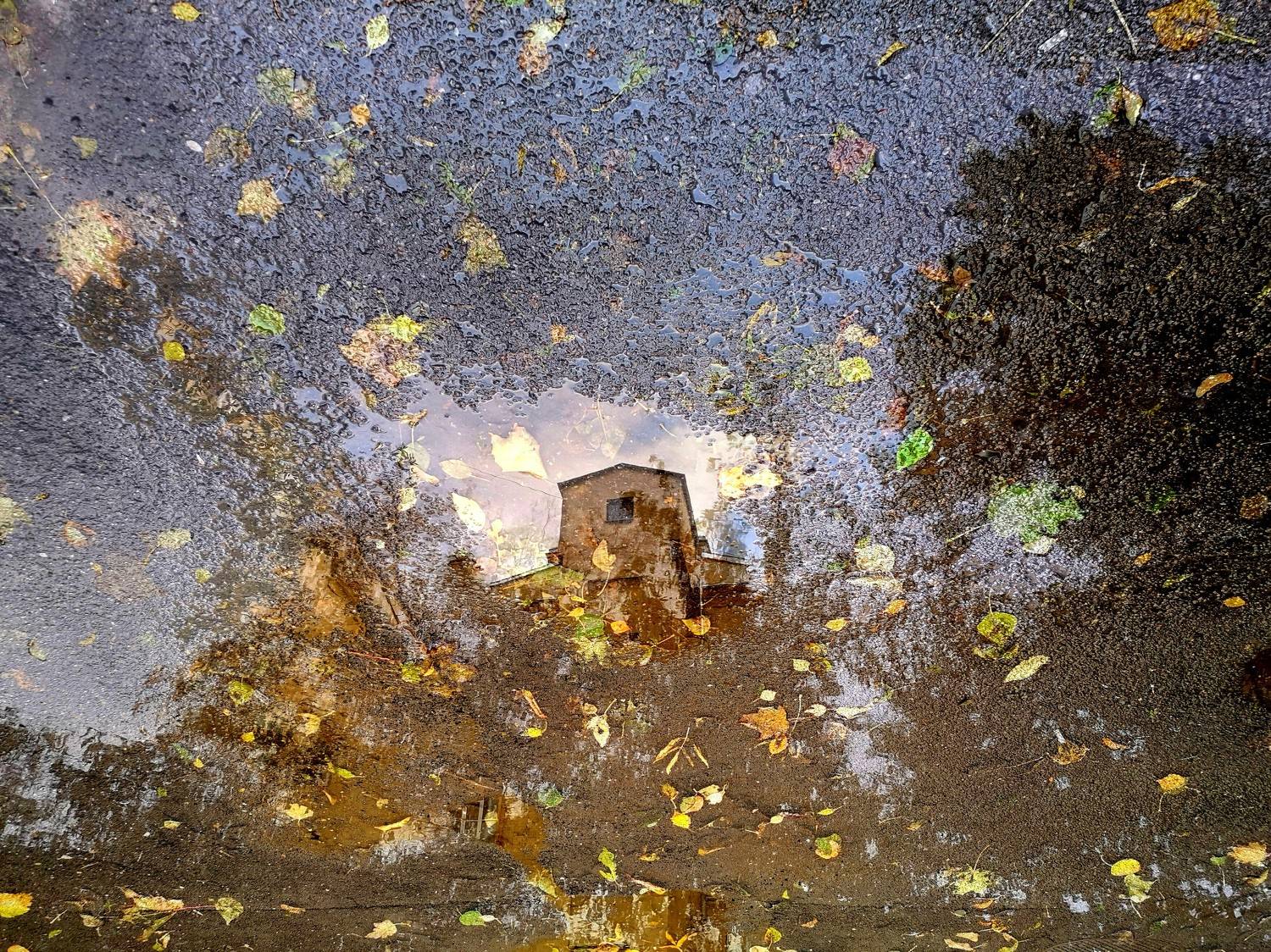 , Антон Лаба