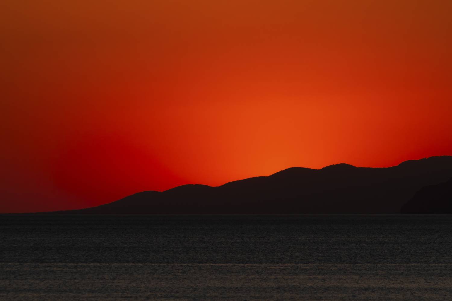 , Денис Пронин