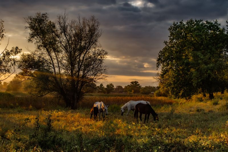 На закате фото превью