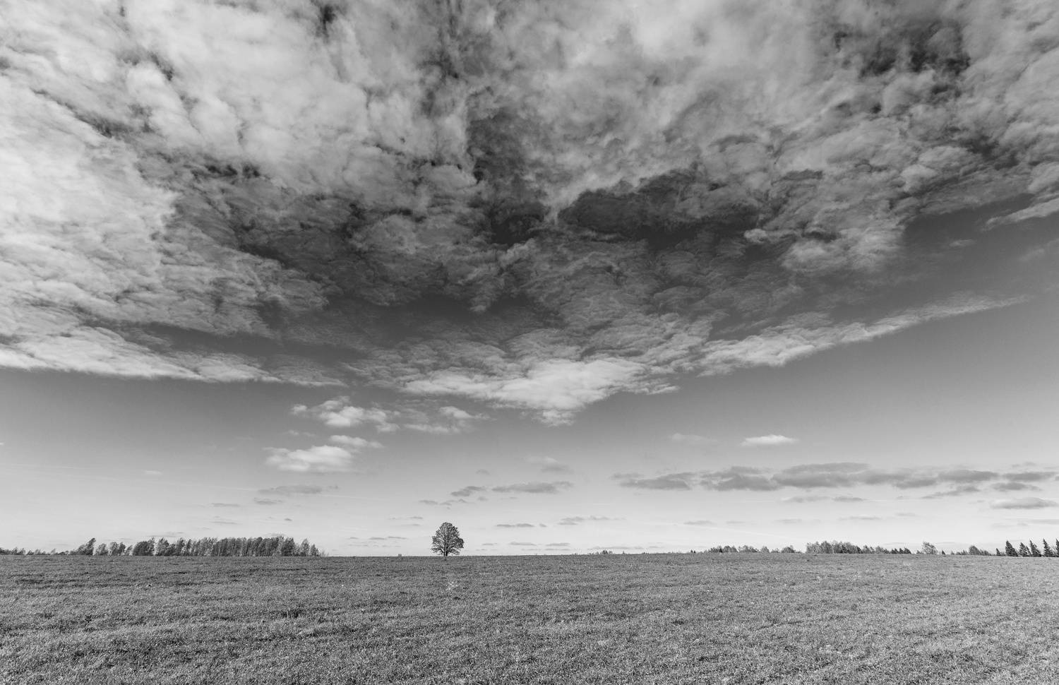 , Подосинников Максим