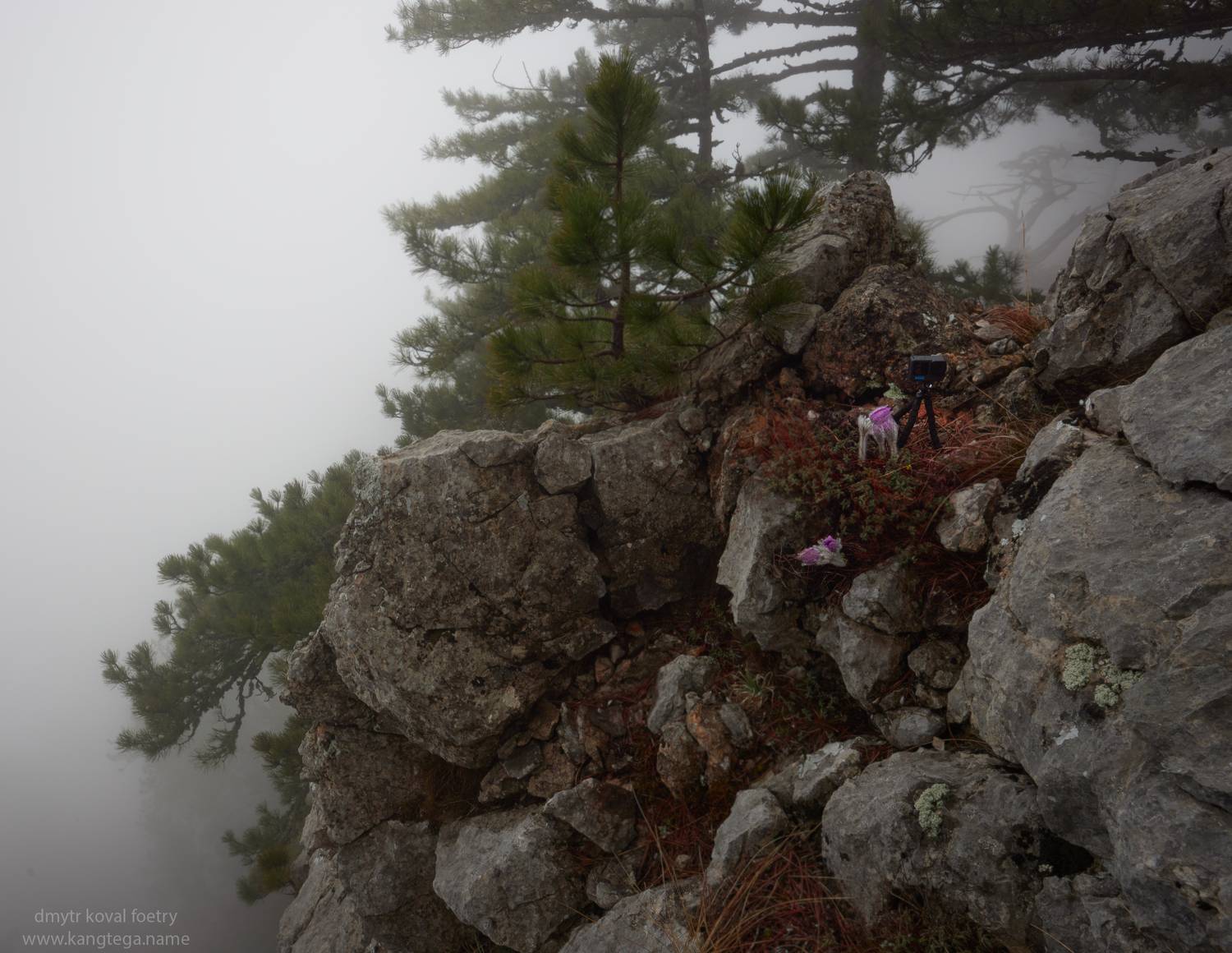 , Коваль Дмитр