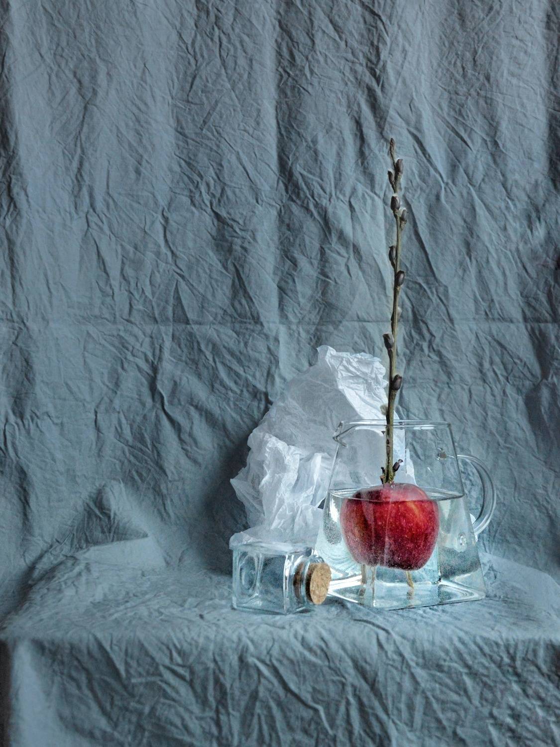 , Дина Полухина