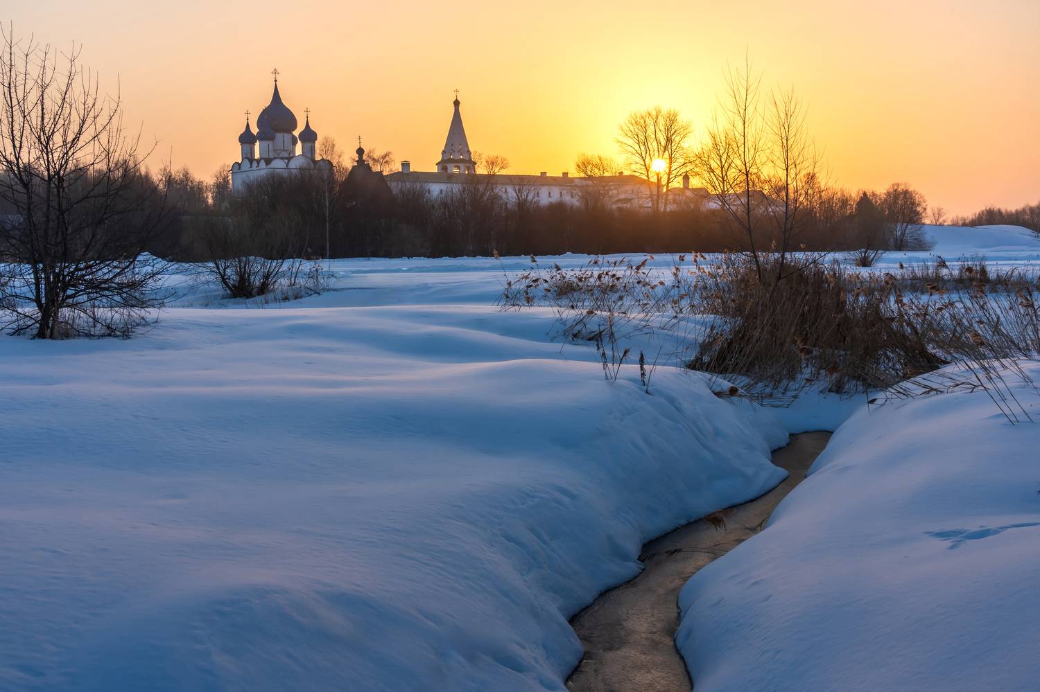 суздаль, Добродий Михаил