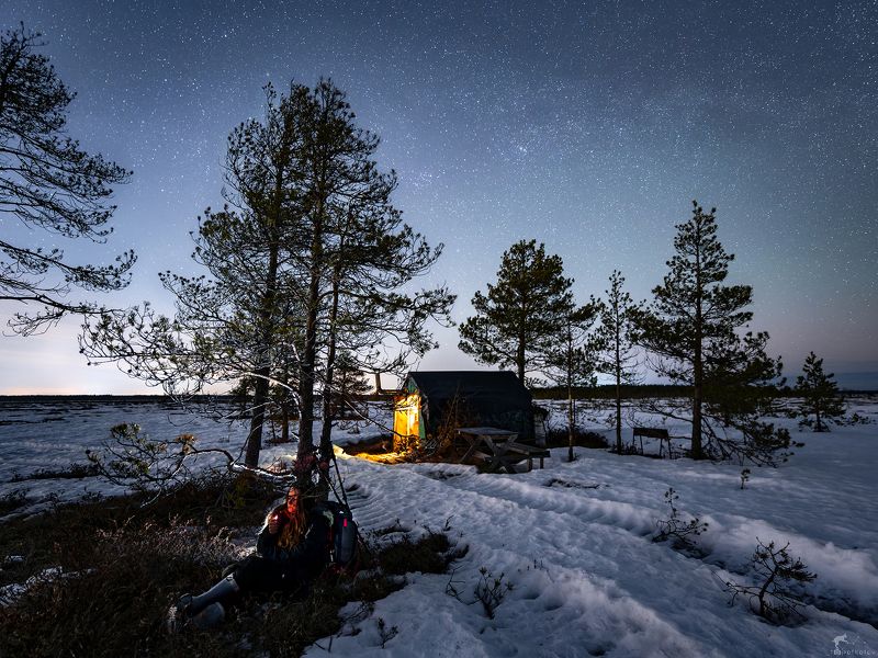 Ночь на болотах фото превью
