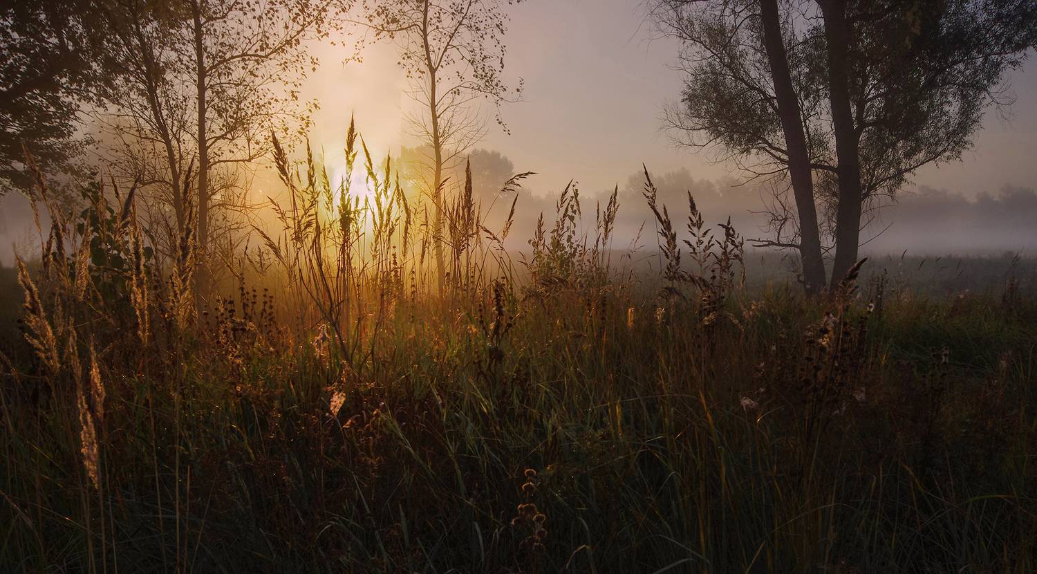 сибирь, лето, утро, рассвет, туман, свет, Чичкин Валерий