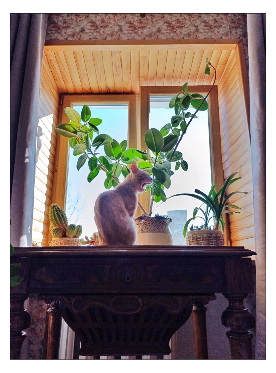 , Герасимова Алёна