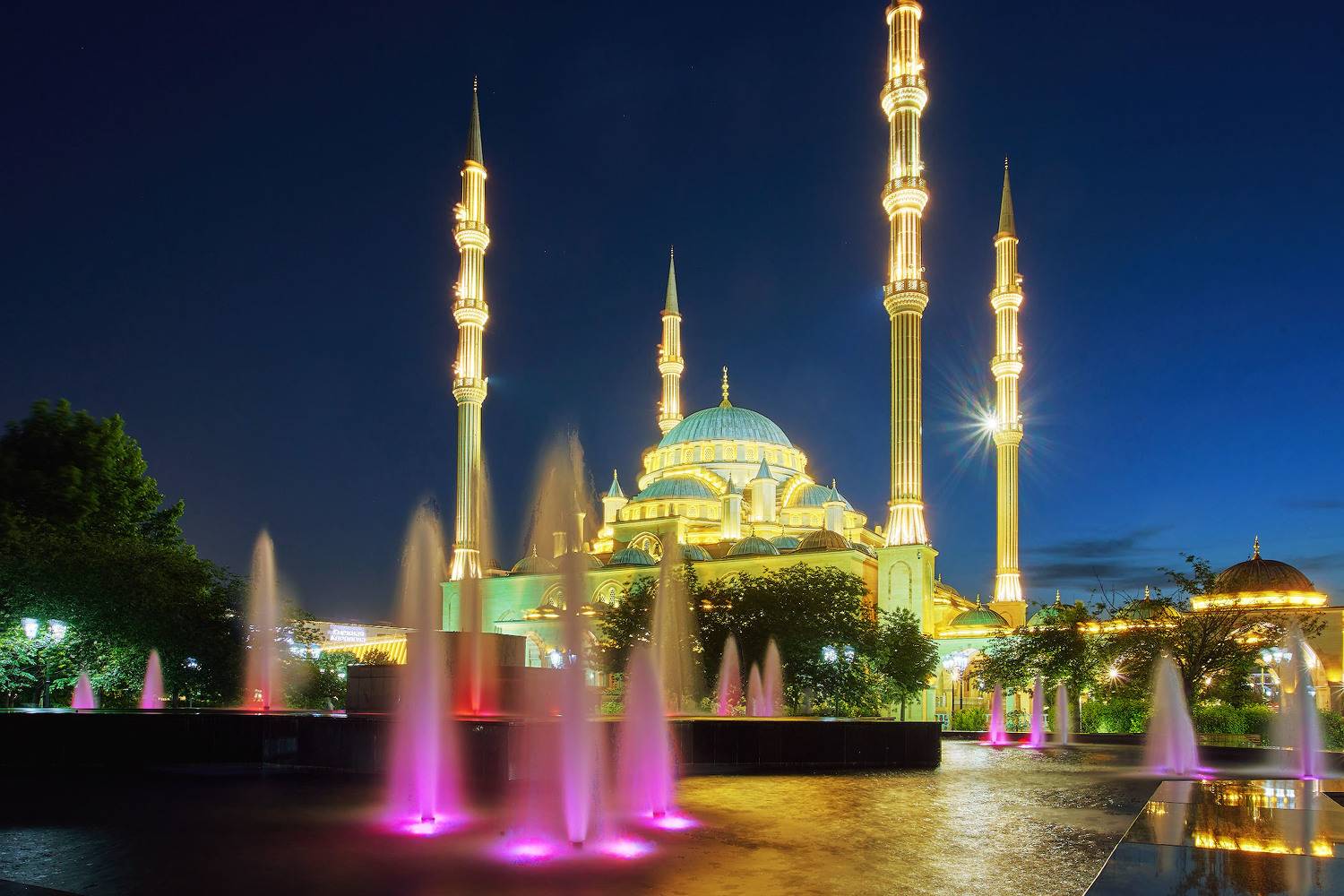 мечеть. грозный. ночь. огни города., Totoro D