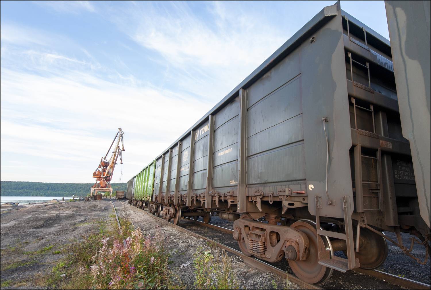 , Георгий Сапожников