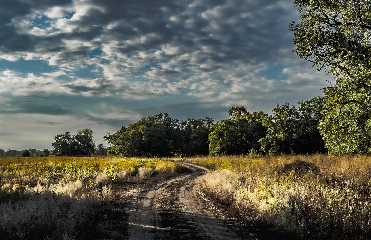 дорога, небо, облака, пейзаж, природа, Vasilev Roman