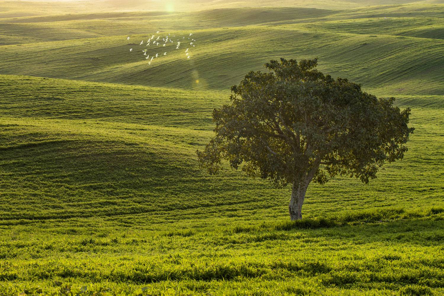 , Горбачева Маментьева Татьяна